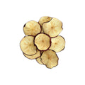 50+ Dried Apple Slices