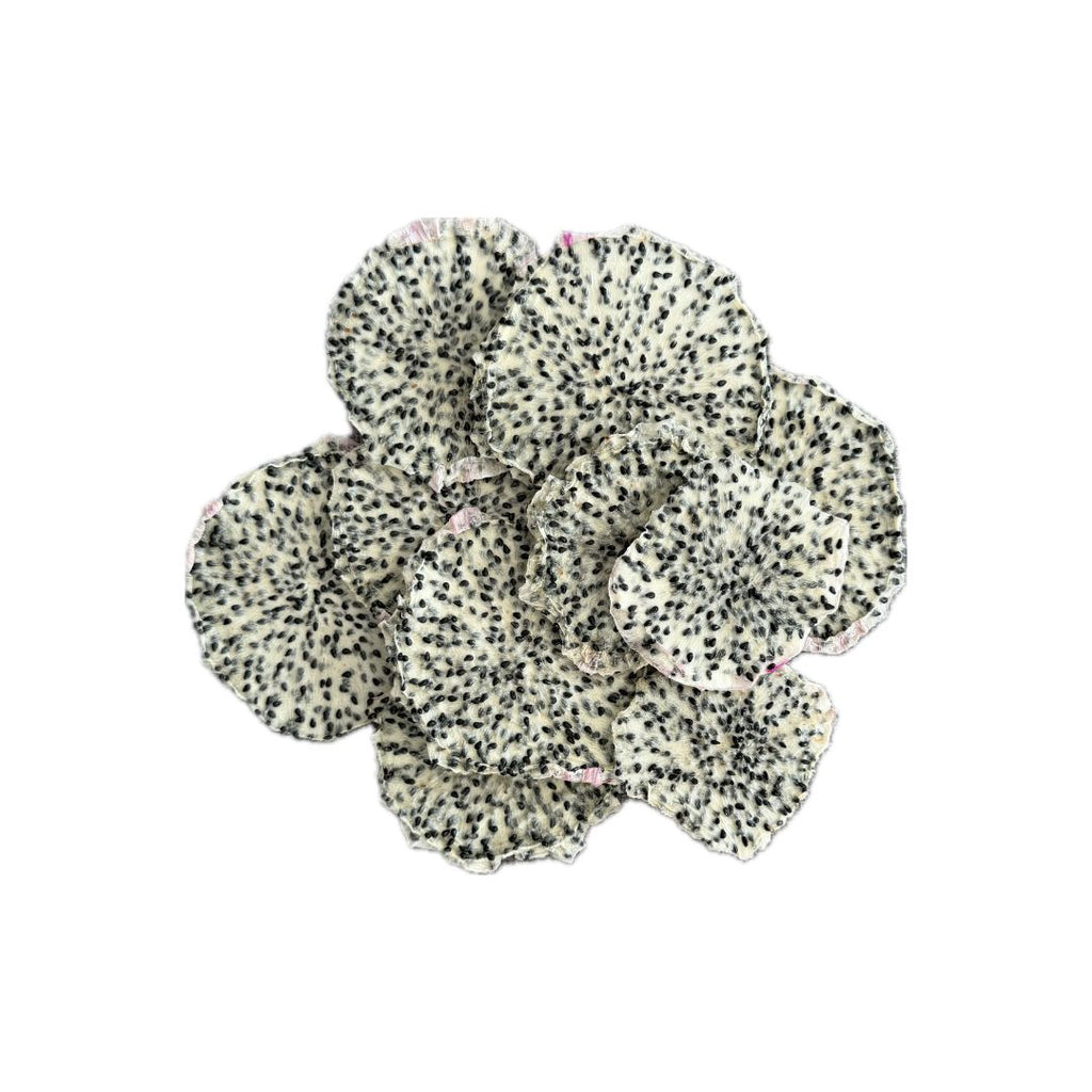 15+ Dried White Dragon Fruit Slices
